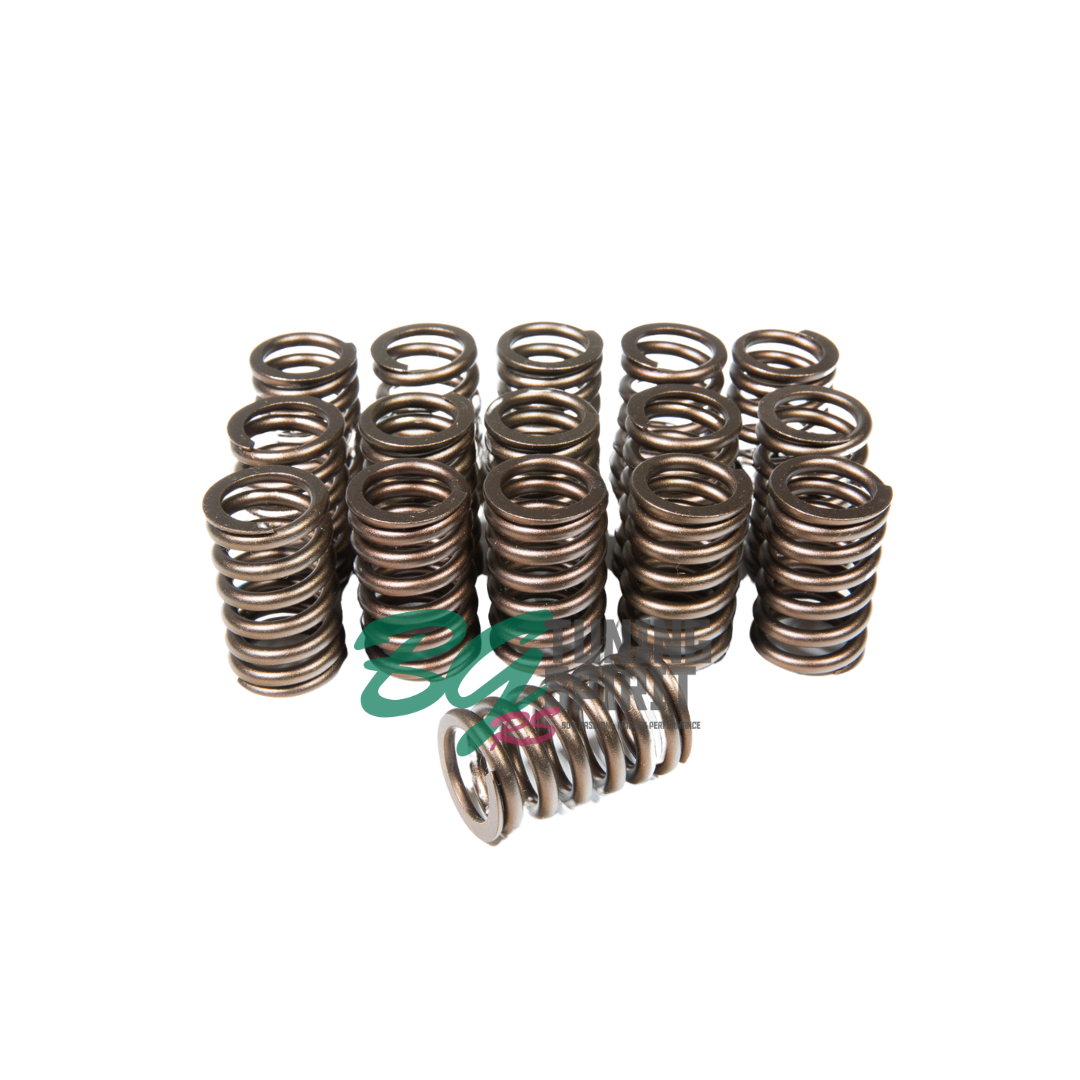 HKS Valve Springs