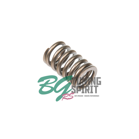 HKS Valve Springs