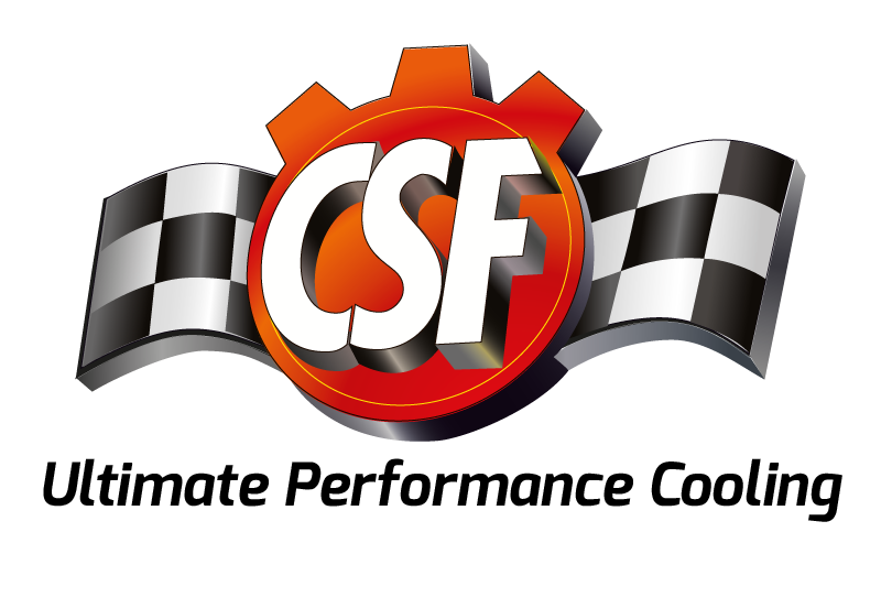 CSF Logo
