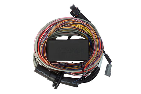 Haltech Elite 750 Premium Universal Wire-­In Harness Kit (ECU)