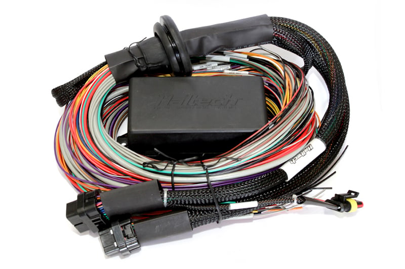 Haltech Elite 2500 (DBW) - 2.5m (8 ft) Premium Universal Wire-In Harness Kit