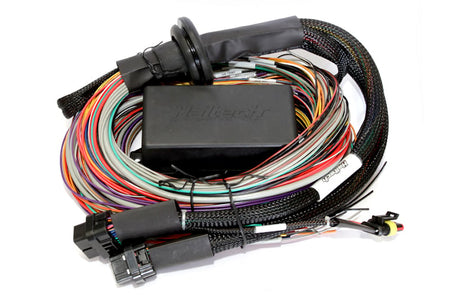 Haltech Elite 2500 (DBW) - 2.5m (8 ft) Premium Universal Wire-In Harness Kit